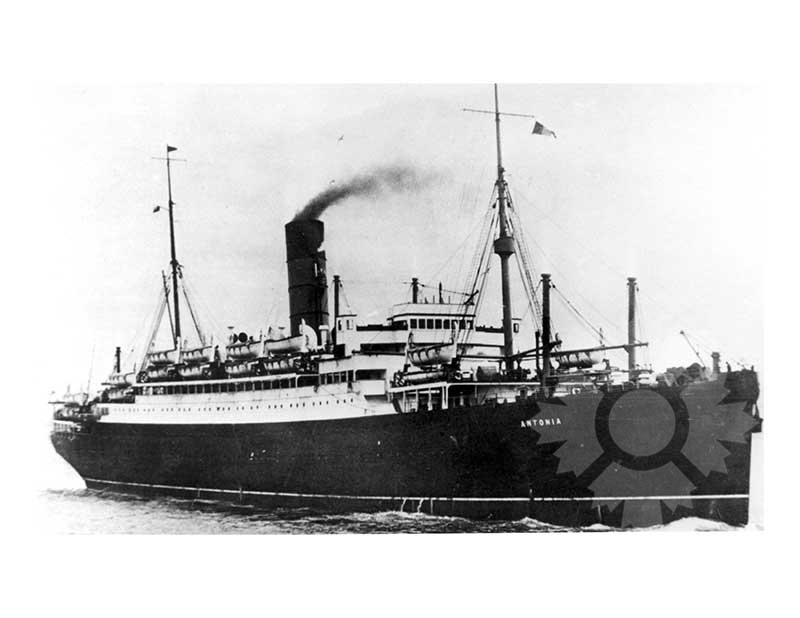 Black and white photo of the ship Antonia (RMS)