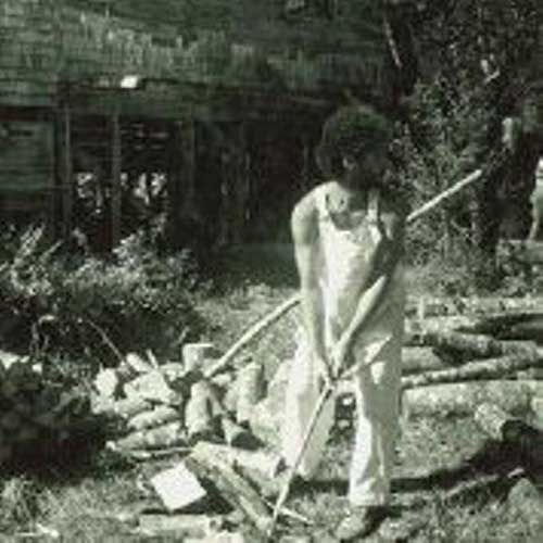 A young man with an axe chops wood.