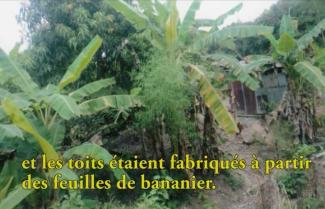 A dwelling can be seen in a dense jungle.