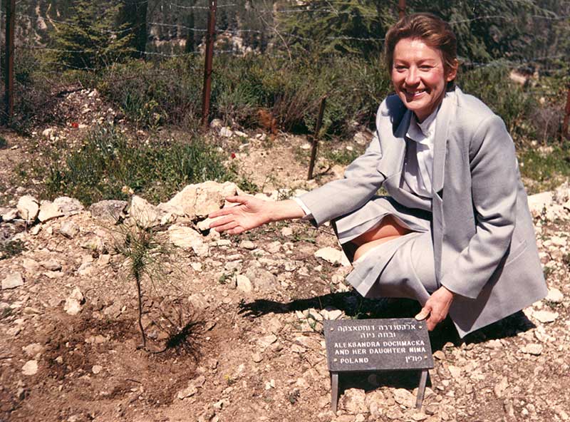 A tree grows in Israel.